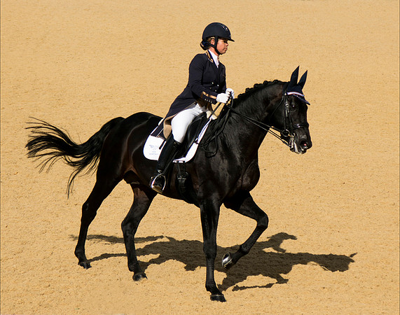 Dressage Discipline © Fred Reeve - 3rd.