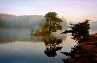 Mist on Tarn Hows © Paolo Lubrano C