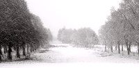 Snow in Sherbourne © Paolo Lubrano C