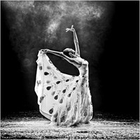Spirit of the Peacock Dance © Dick Prior - 12