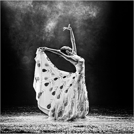 Spirit of the Peacock Dance © Dick Prior - 12