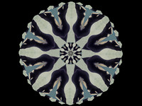 Kaleidoscope © Andrew Leask - 1st