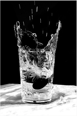 Splash! © Peter Gilbert - 2nd=