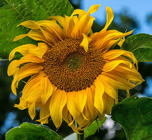 7 Plant © Phil Welch