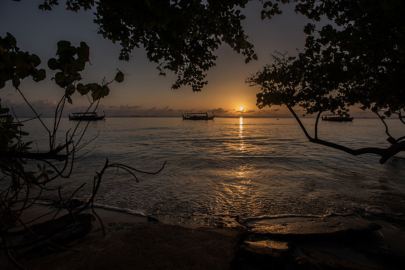 Maldivian Fishermen © Paul Thomas - 1st