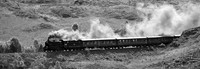 Highlands Express © Andrew Dow - C