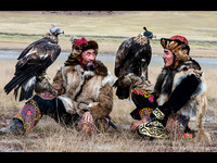 Hunting Companions © Dick Prior - C