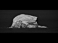 The Bass Rock & its Birds © Andrew Dow - HC