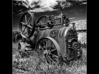 Out to Grass © David P Howard - HC