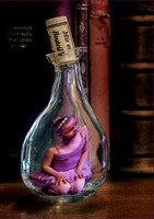 Bottled in Fairyland © Dick Prior - HC