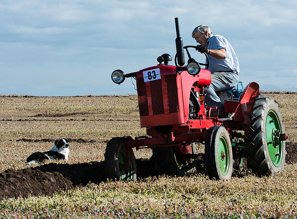 Ploughing match 2 © Peter Gilbert