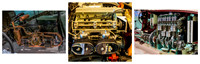 Engine Evolution © Fred Reeve 2nd Novice