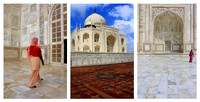 Going to the Taj © John Edwards 3rd = Novice
