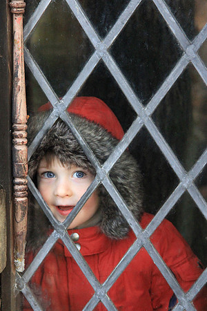 Peek-a-boo © John Roach - 1st.