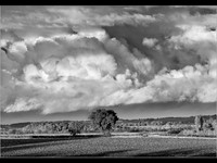 Autumn Arriving © Peter Gilbert - C