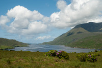 Killary Harbour Connemara © Peter Gilbert