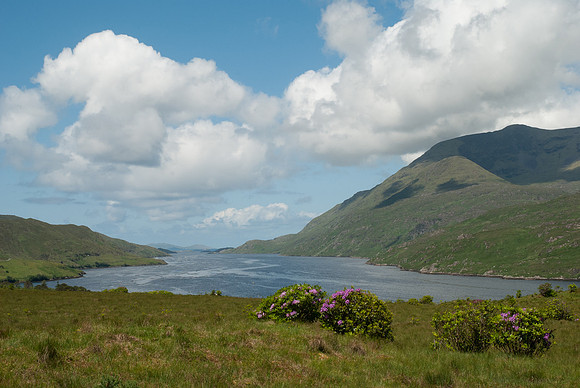 Killary Harbour Connemara © Peter Gilbert