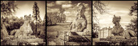 Sphinx © Michael Robertson Smith 1st=(nov)