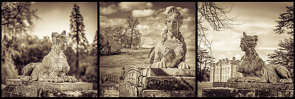 Sphinx © Michael Robertson Smith 1st=(nov)