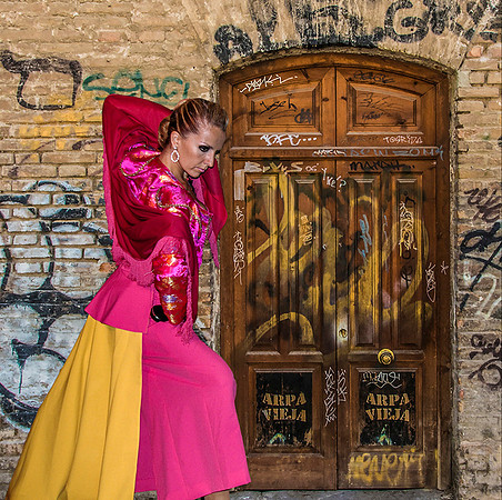 The Passion of the Flamenco © Phil Welch - C