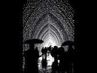 Light Shower © Paolo Lubrano HC