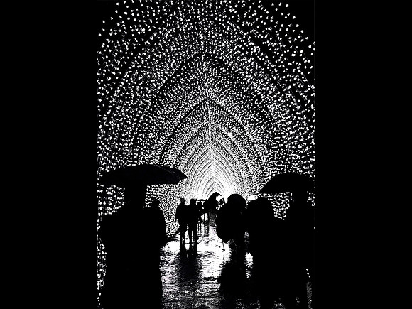 Light Shower © Paolo Lubrano HC