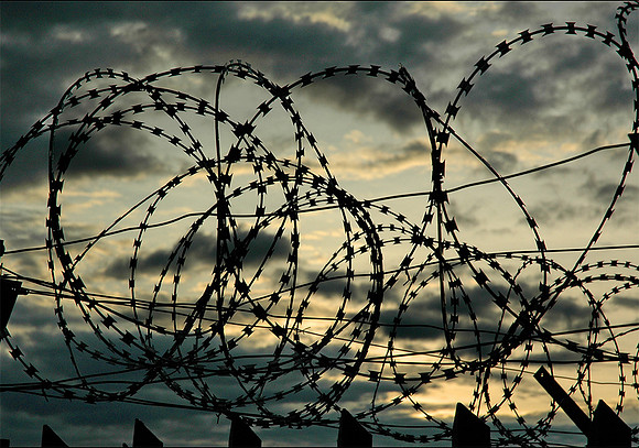 Barbed wire silhouette © Andrew Dow - 3rd.