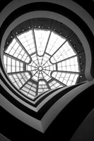 Weird Web © Mike Whitecross - HC
