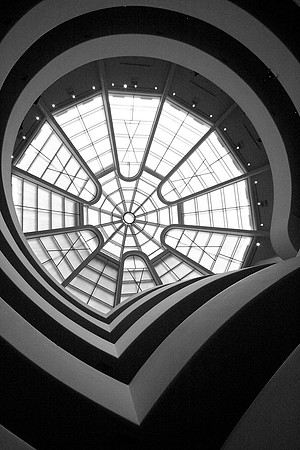 Weird Web © Mike Whitecross - HC