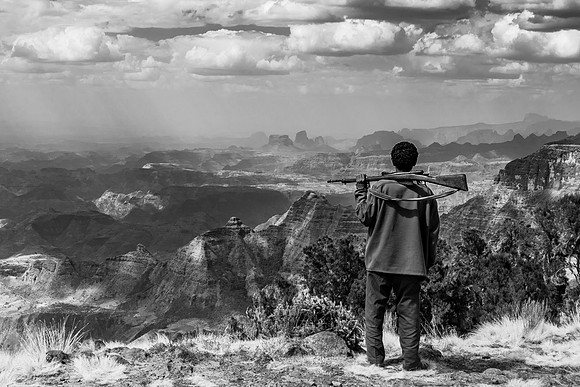 The Guardian © Mary Kirkby - 1st