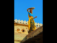 Blue & Yellow © John Edwards - HC