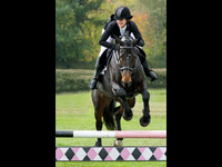 Show Jumper © Peter Gilbert - 3rd=