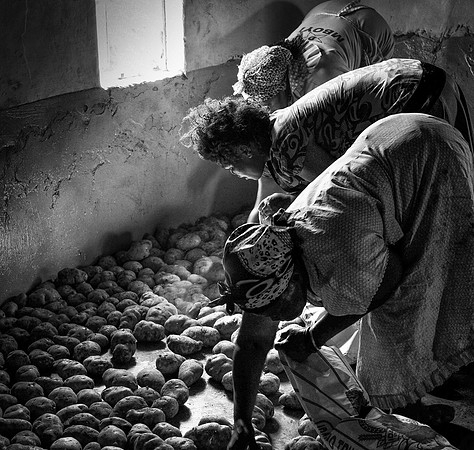 09 Potato Farmers 1525 © Paul Tomlinson