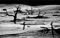 10 Namibia © Paul Tomlinson