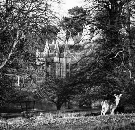 01 Charlecote © Paul Tomlinson