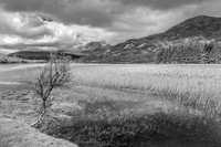 Lakeside © Derek Wood - C