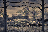 Enchanted Garden © Stewart Band 3rd