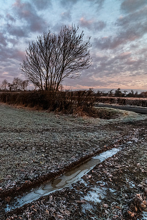 A frosty start © Jill Dyson Orme - C
