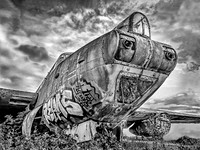 Shackleton at Rest © Brian Cole 3rd