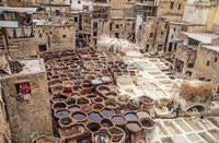 Fes Tannery © Phil Welch - HC