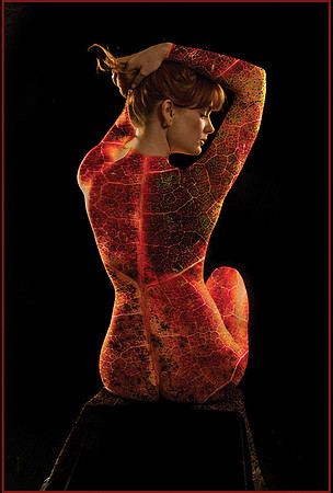 Artemis Autumn © Dick Prior - 10