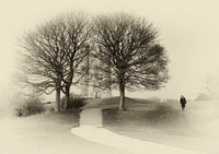 Monochrome
