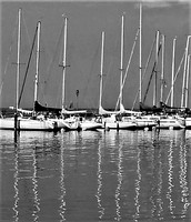 02  Masts © Mike Dain