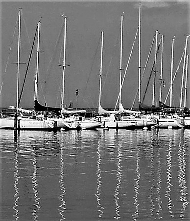 02  Masts © Mike Dain