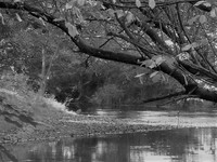 09 River Teme near  Offa's Dyke, Knighton (With Vanilla Filter) © Mike Dain