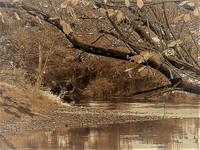 10 River Teme near Knighton (With Zeke Filter) © Mike Dain