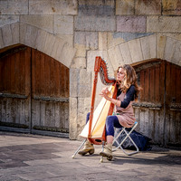 Busking in Dijon © Michael Robertson-Smith - HC