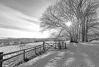 Sun kissed winters day © Brian Cole - C