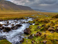Mountain Stream © David P Howard