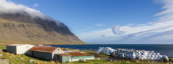 Sea side farmstead © David P Howard